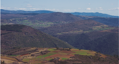 The Natural Park of Montesinho (PNM) is located in the Northeast of Tras-os-Montes (Portugal). It has a dimension of about 75 thousand hectares. Recognized in 1979 as a Natural Park, it currently has 9,000 inhabitants and 92 villages. Located in Terra Fria of Tras-os-Montes, temperatures range between -12º C and 40º C.“nIt has a heterogeneous relief, with undulating plateaus cut by deep embedded valleys, as well as some mountains of which the two most important are the Serra de Montesinho, north of Bragan a, and the Serra da Coroa, north of Vinhais. The altitudes vary between the 1486 meters, in the Mountain of Montesinho and the 438 meters of the river Mente."nThere is extensive biodiversity, inhabiting species such as the Iberian wolf and deer.